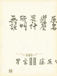 无所畏惧原著小说叫什么名字