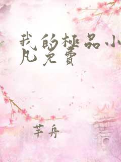 我的极品小姨叶凡免费