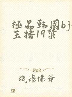 极品韩国bj女主播19禁