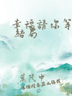 幸福请你等等我 结局