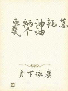 车辆油耗怎么算几个油