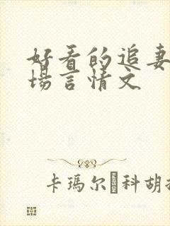 好看的追妻火葬场言情文