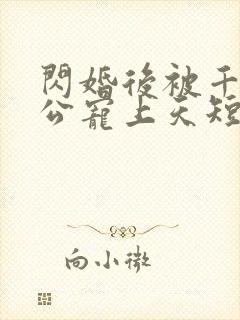 闪婚后被千亿老公宠上天短剧全集大结局