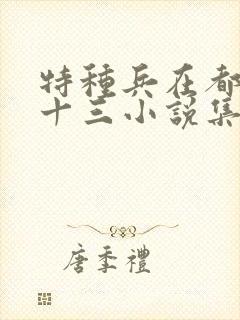 特种兵在都市夜十三小说集