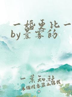 一婚更比一婚高by晨雾的