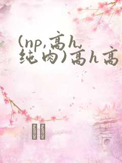 (np,高h,纯肉)高h高