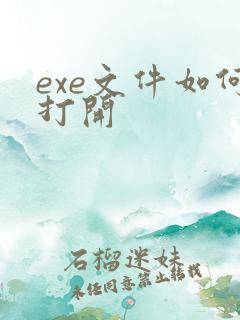 exe文件如何打开