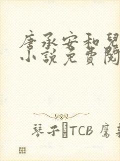 唐承安和儿媳妇小说免费阅读