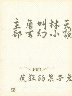 主角叫林天的一部玄幻小说