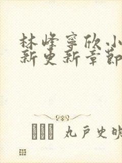 林峰宁欣小说最新更新章节