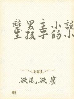 双男主小说推文生孩子的小说