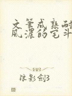 文笔成熟耐看古风浓的宅斗文