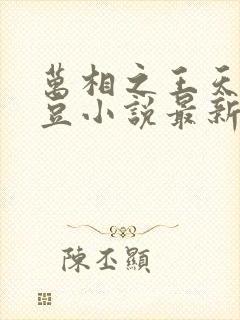 万相之王天蚕土豆小说最新章节精校版