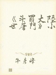 《斗罗大陆2绝世唐门》小说