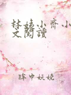林姨小齐小说全文阅读