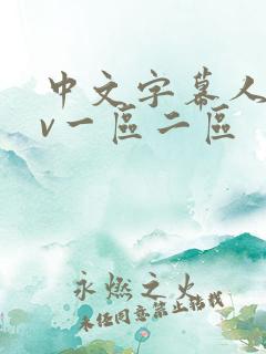 中文字幕人妻av一区二区