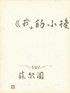 《我的小后妈》
