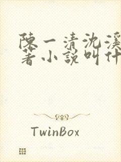 陈一清沈溪桐原著小说叫什么