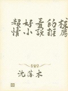 超好看的校园言情小说推荐