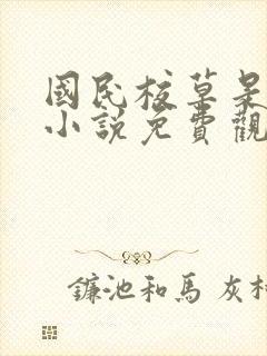 国民校草是女生小说免费观看