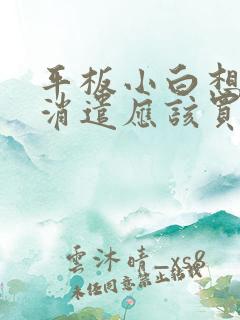 平板小白想画画消遣应该买哪个好