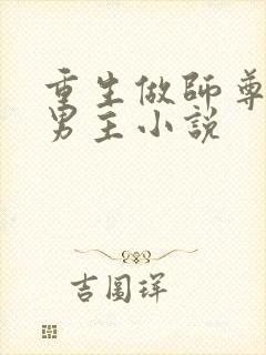 重生做师尊的双男主小说