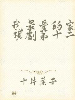 我最爱的家人电视剧第十二集