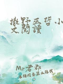 撒野巫哲小说全文阅读