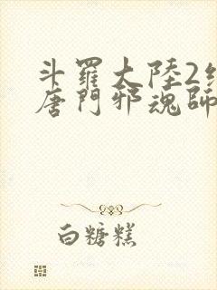 斗罗大陆2绝世唐门邪魂师