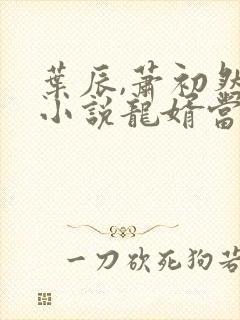 叶辰,萧初然的小说龙婿当道