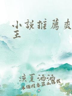 小说推荐爽文女主