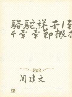 骆驼祥子1到24章章节概括