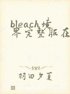 bleach境界完整版在线看观看免费