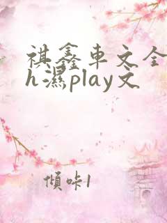 祺鑫车文全肉高h湿play文