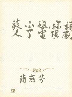 苏小姐,你嫁错人了电视剧全集