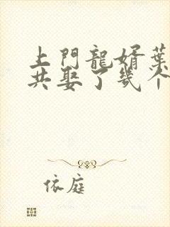 上门龙婿叶辰一共娶了几个