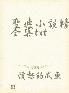圣墟小说精校版全集txt