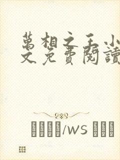 万相之王小说全文免费阅读无弹窗