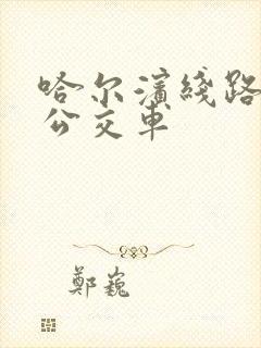 哈尔滨线路查询公交车