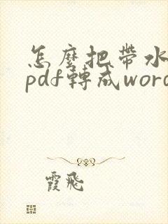 怎么把带水印的pdf转成word