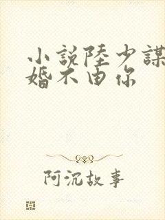 小说陆少谋妻之婚不由你