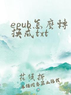 epub怎么转换成txt