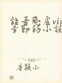 能看飞卢vip章节的小说书源网址