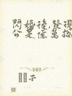 闪婚后,发现老公是亿万总裁 小说