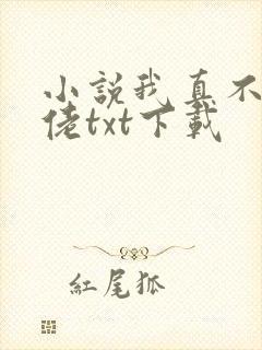 小说我真不是大佬txt下载
