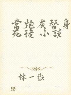 当炮灰替身的我死后 小说