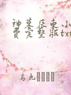 神墓辰东小说免费完整版txt