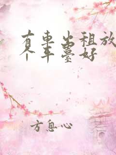 有车出租放到哪个平台好