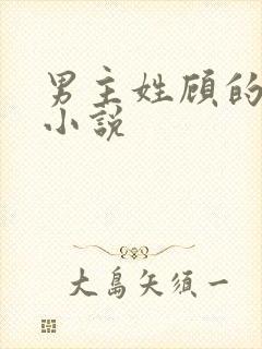 男主姓顾的古言小说
