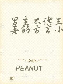 男主不洁三妻四妾的古言小说